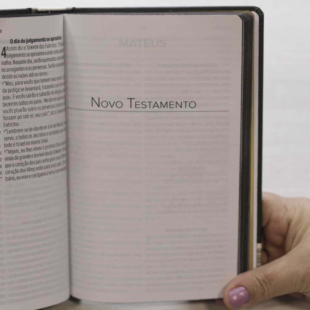 Bíblia Sagrada Lion Head | NVT | Letra Grande | Capa Dura