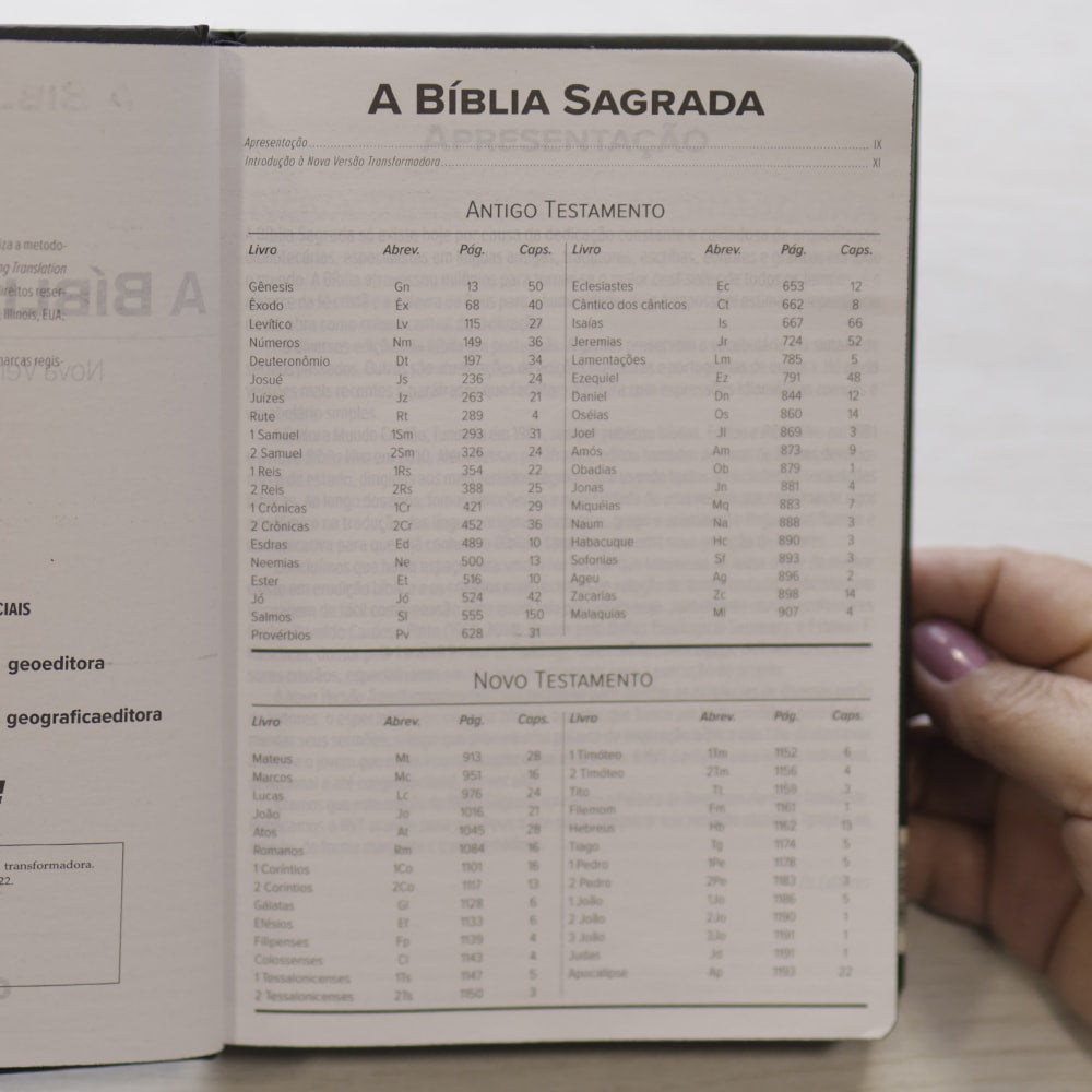Bíblia Sagrada Lion Head | NVT | Letra Grande | Capa Dura