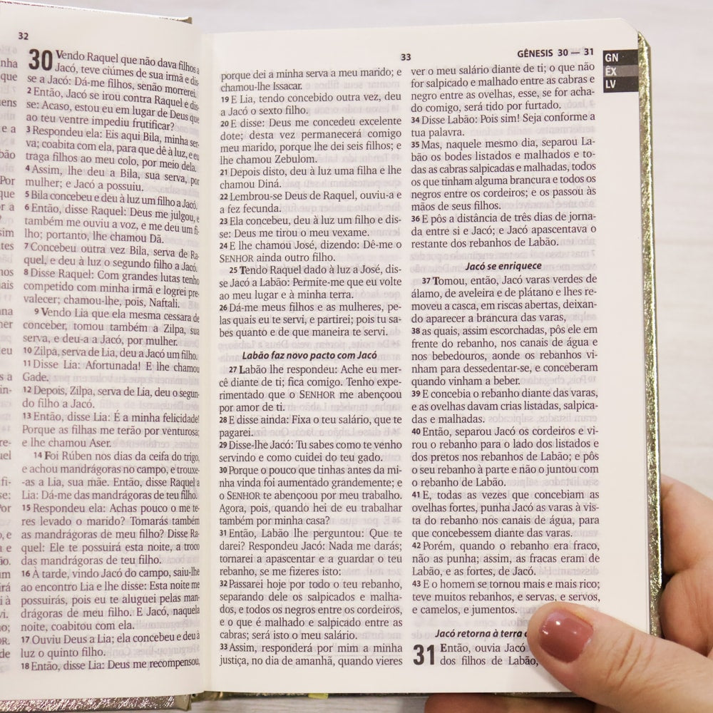 Bíblia Sagrada | ARA | Letra Grande | Capa Cristal Dourado Fosco