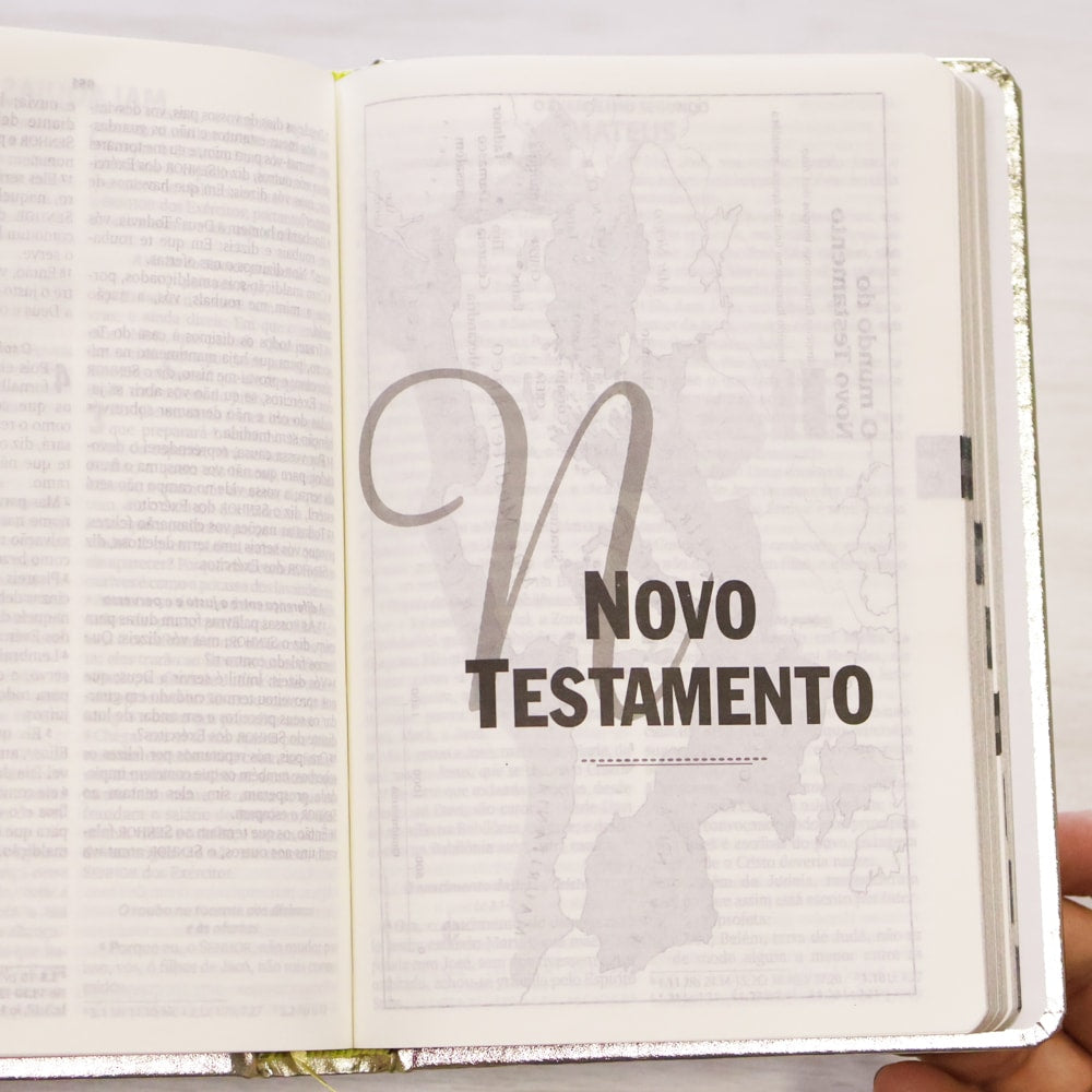 Bíblia Sagrada | ARA | Letra Grande | Capa Cristal Dourado Fosco