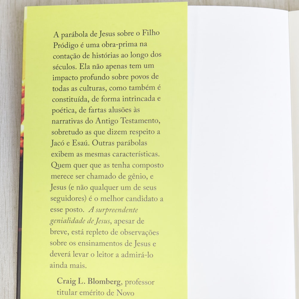 A Supreendente Genialidade de Jesus | Peter J Williams