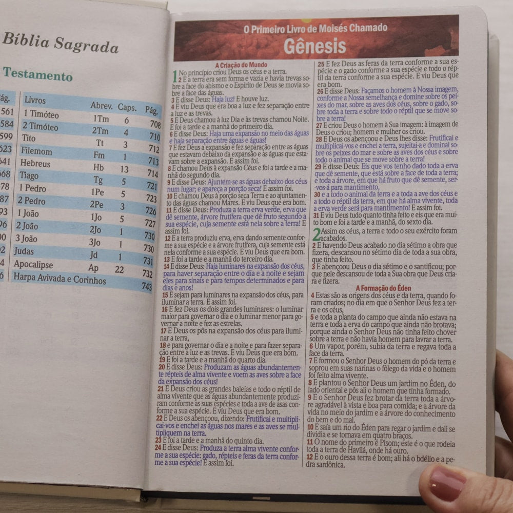 Bíblia Sagrada Jesus no Barco | ARC | Letra Maior | Harpa e Corinhos | Capa Dura