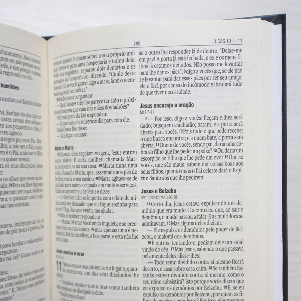 Bíblia Sagrada Leão | NAA | Letra Normal | Capa Dura