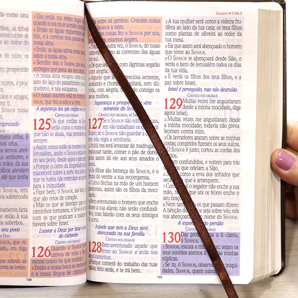 Bíblia Sagrada Harpa Celestial 774 | ERC | Letra Extra Gigante | Capa Marrom Escuro