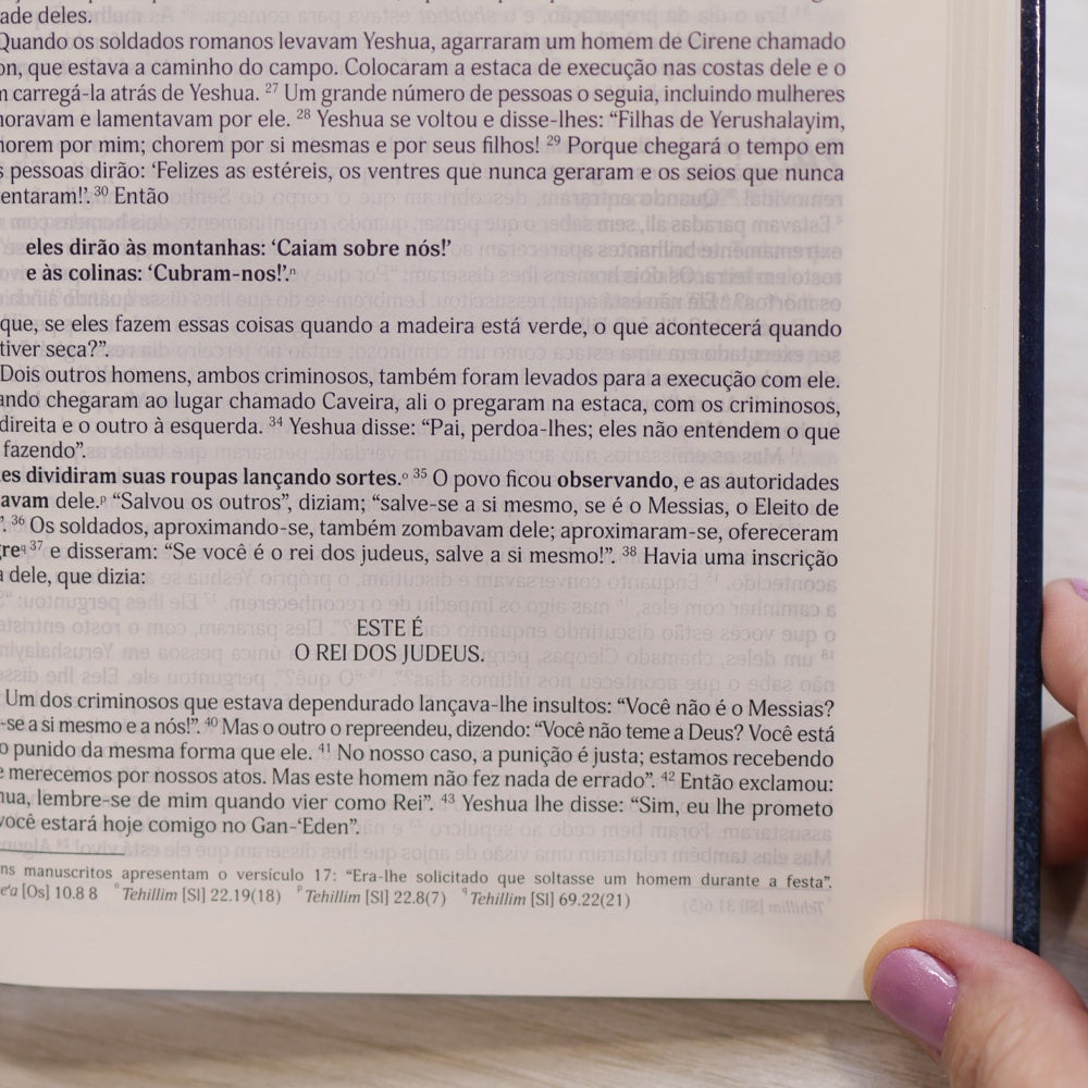 Bíblia Judaica Completa | Letra Normal | Capa Dura