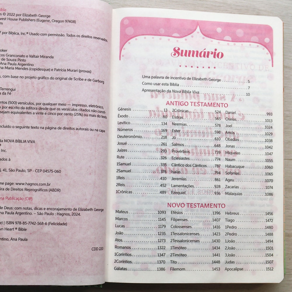 Bíblia Da Garota Segundo o Coração de Deus | NVB | Capa Dura Juventude