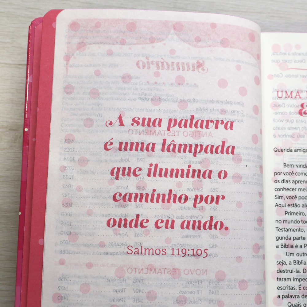Bíblia da Garota Segundo o Coração de Deus | NBV | Capa Dura Felicidade