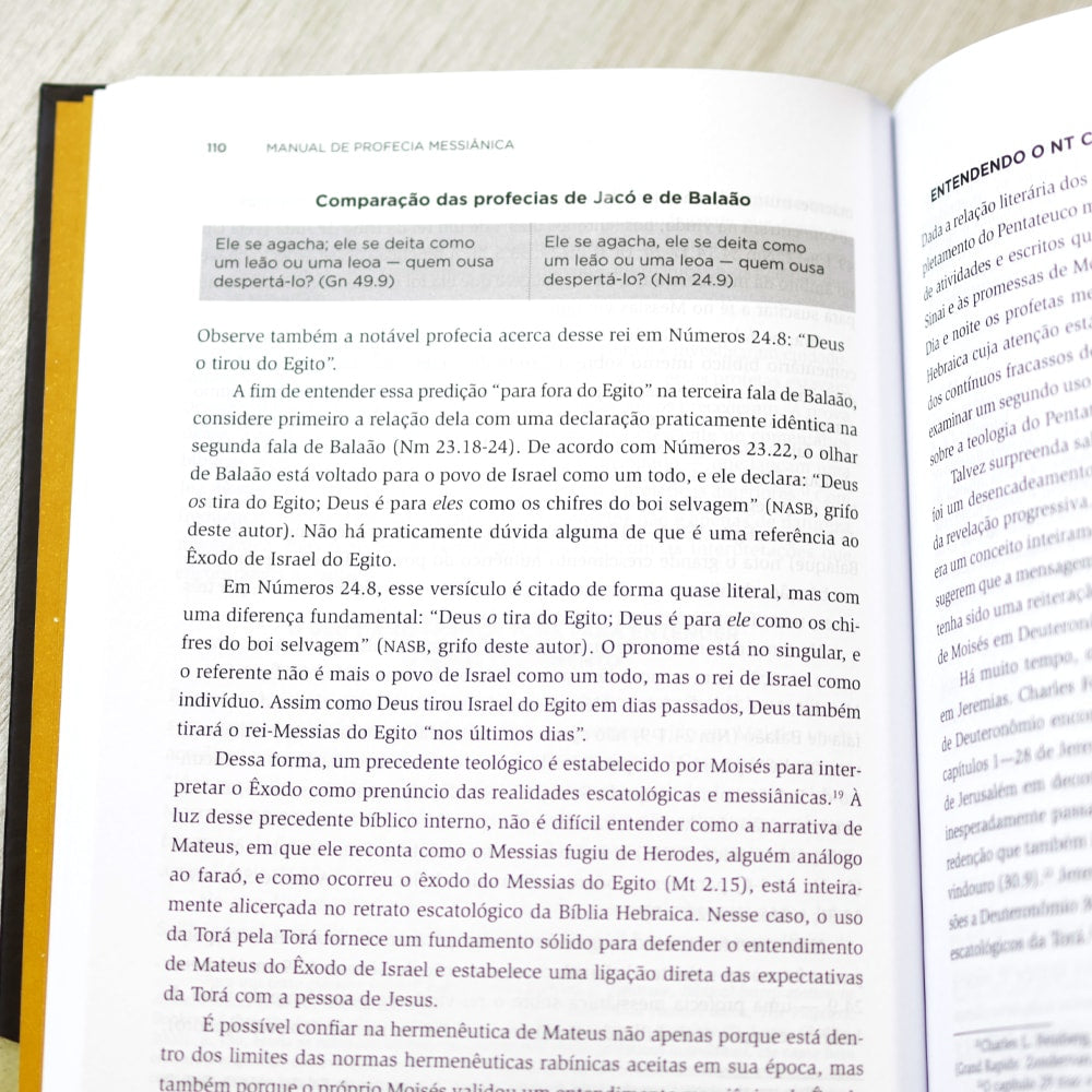 Manual de Profecia Messiânica | Michael Rydelnik | Edwin Blum