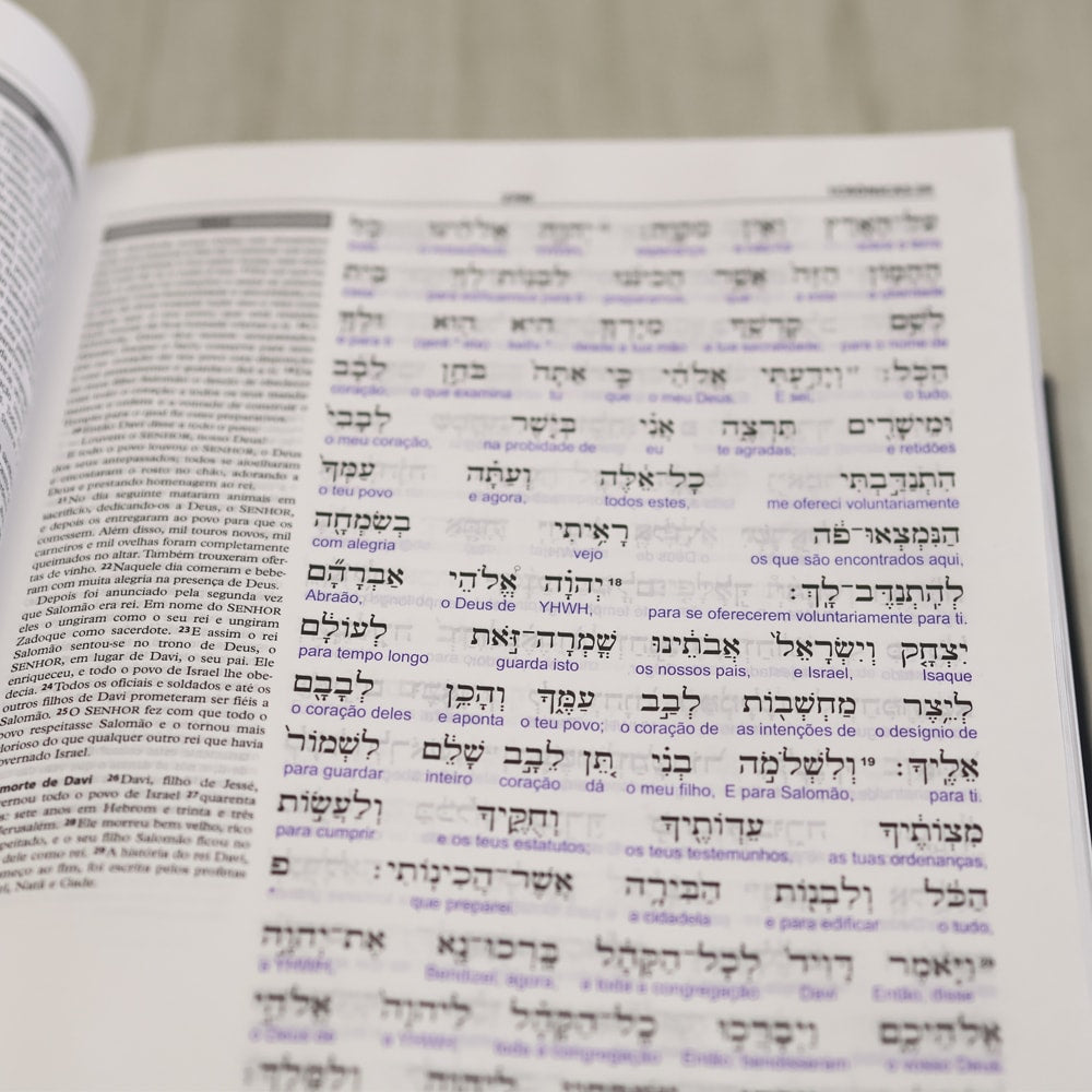 Bíblia Sagrada Interlinear Novo Testamento | Grego-Português