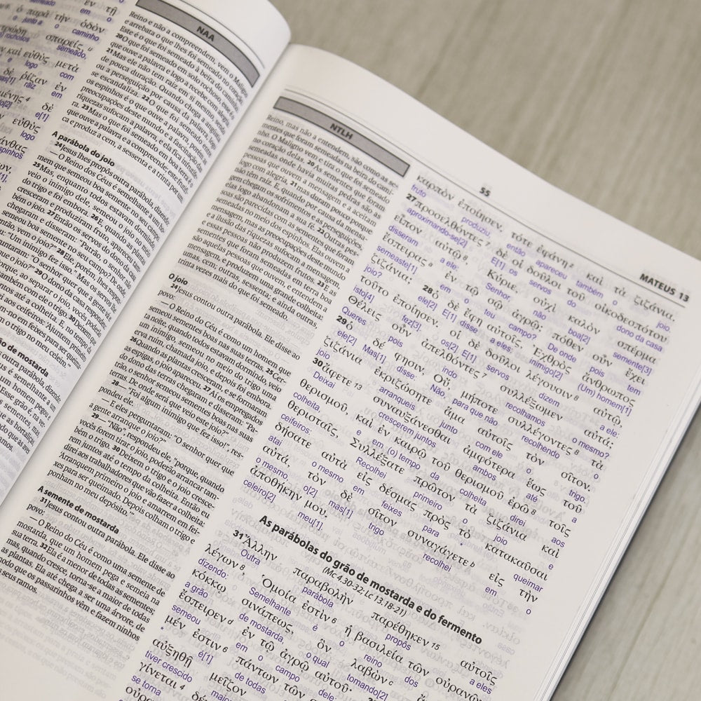 Bíblia Sagrada Interlinear Novo Testamento | Grego-Português