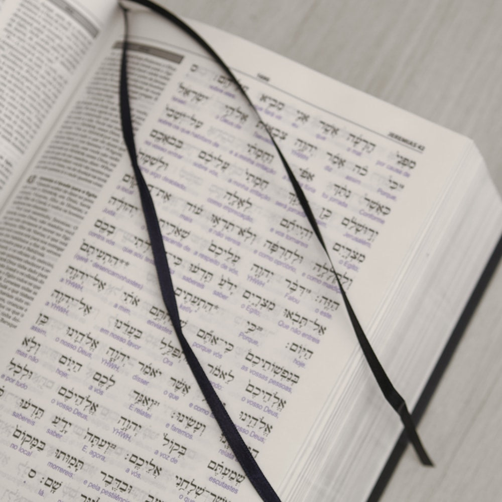Bíblia Sagrada Interlinear Novo Testamento | Grego-Português