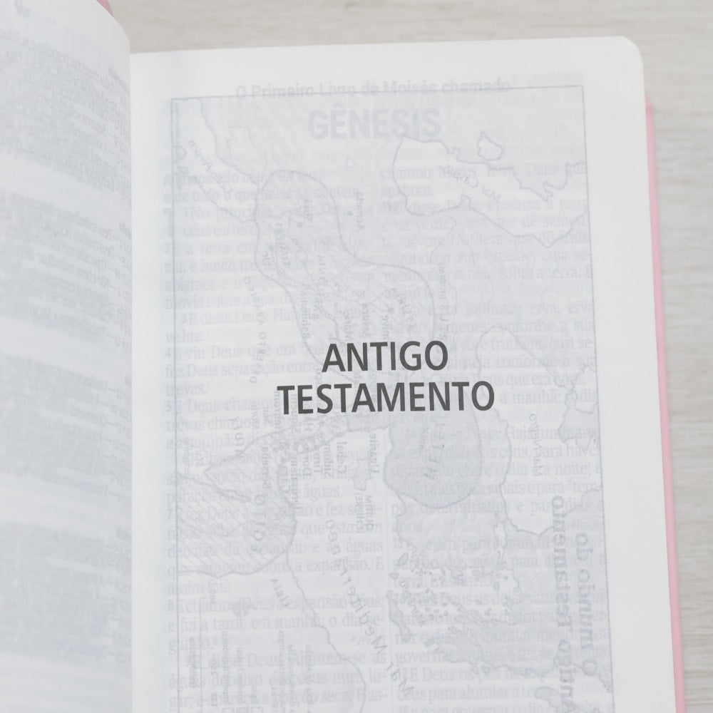 Bíblia Sagrada | NAA | Letra Gigante | Rosa