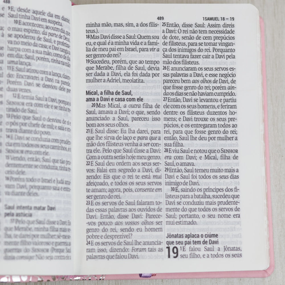 Bíblia Sagrada | NAA | Letra Gigante | Rosa
