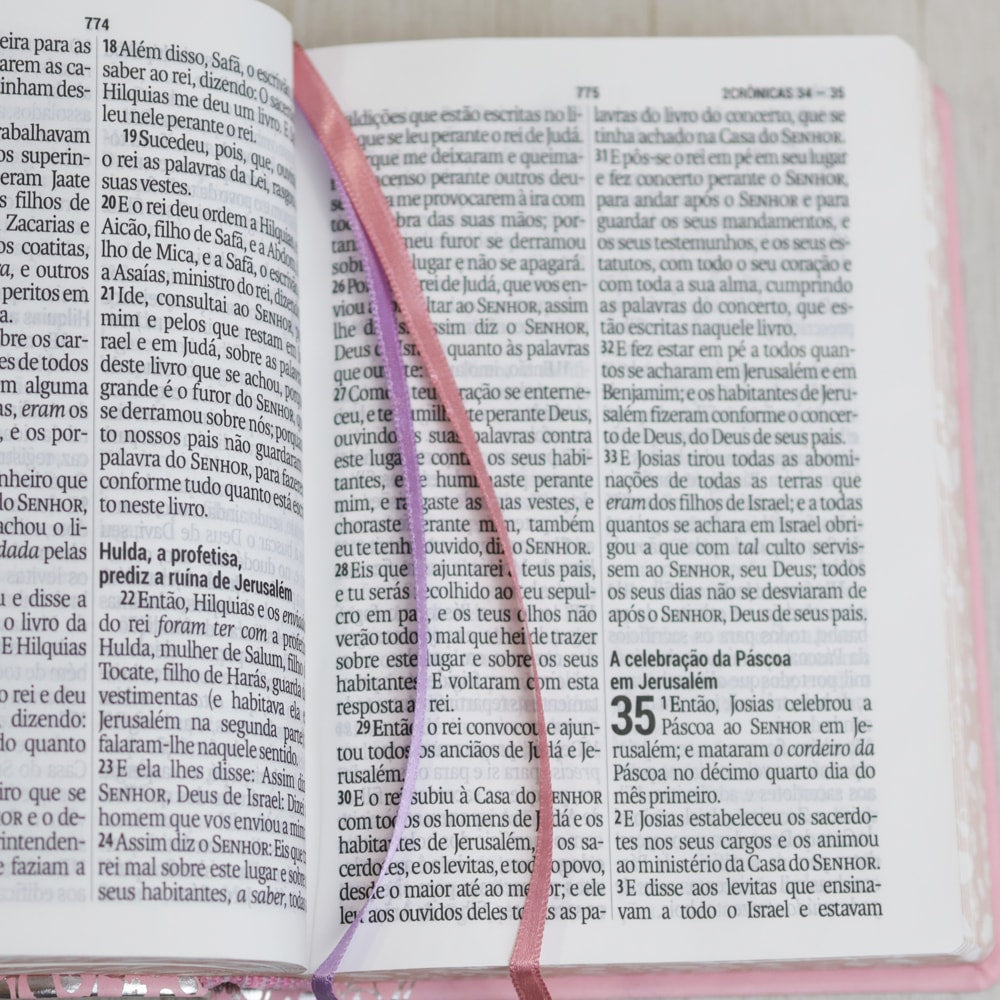 Bíblia Sagrada | NAA | Letra Gigante | Rosa