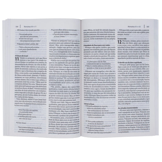 Novo Testamento | Com Salmos e Provérbios | NAA