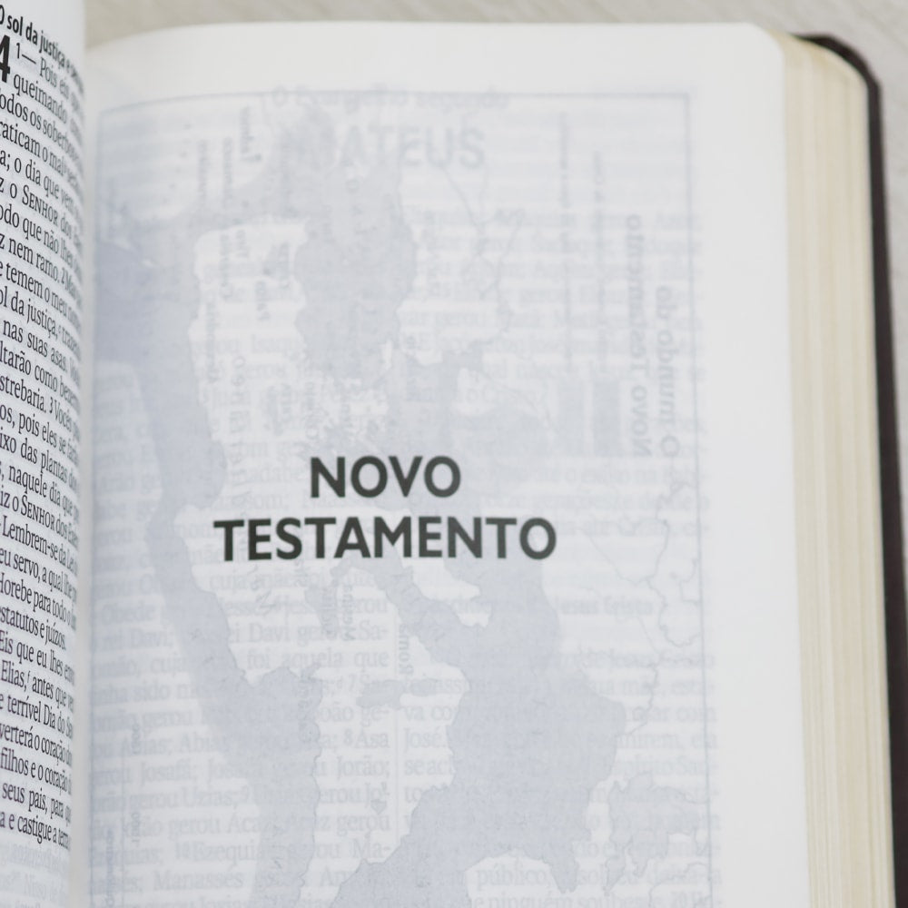 Bíblia Sagrada | NAA | Letra Gigante | Marrom
