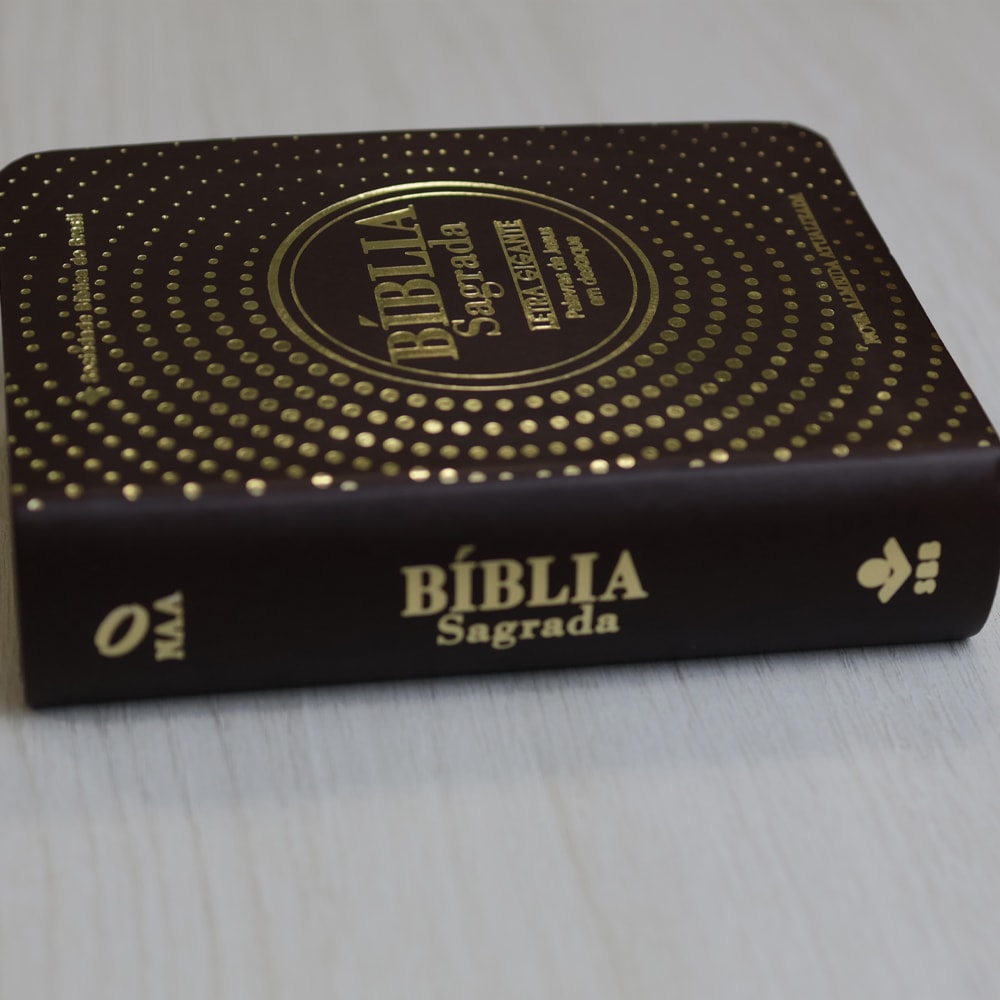 Bíblia Sagrada | NAA | Letra Gigante | Marrom