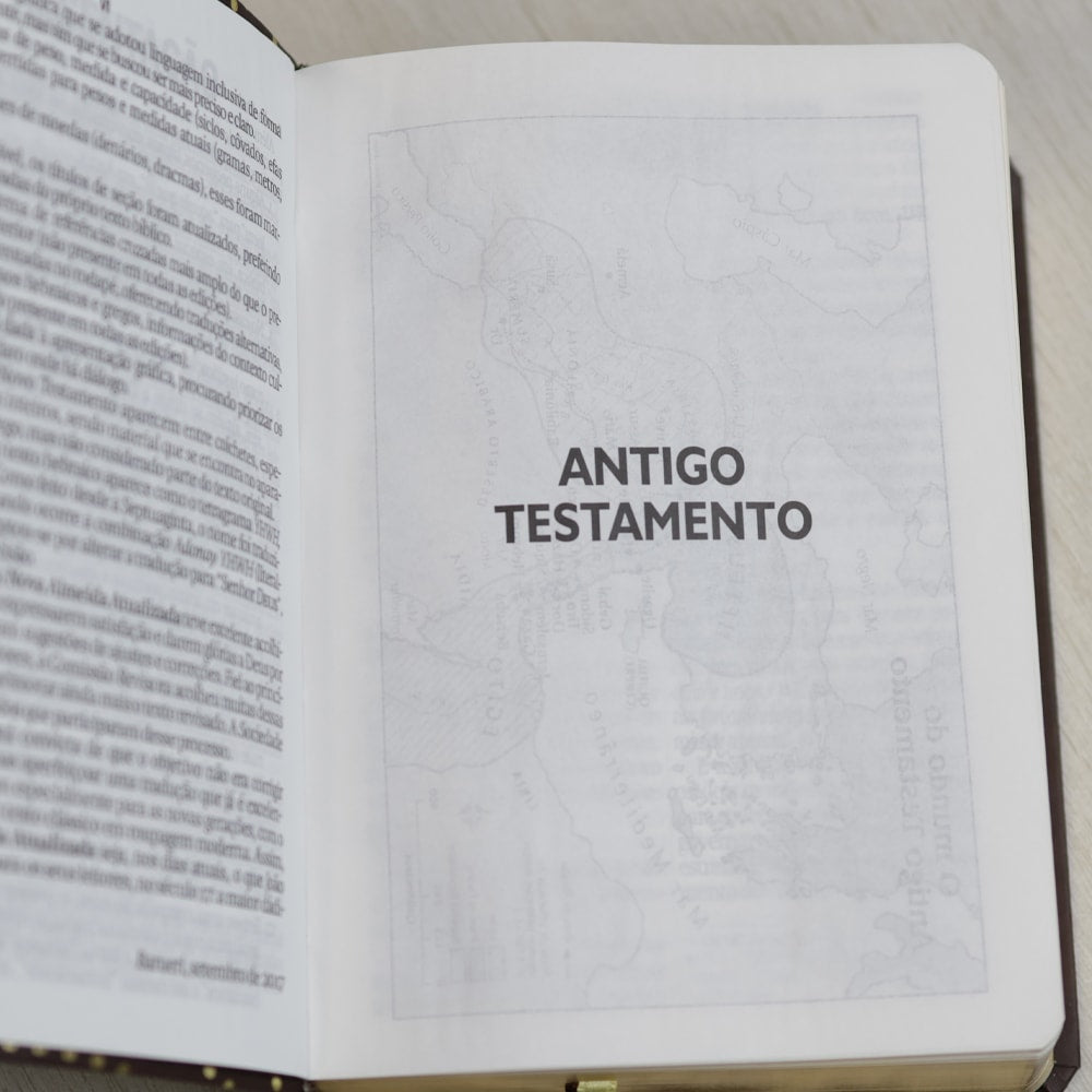Bíblia Sagrada | NAA | Letra Gigante | Marrom