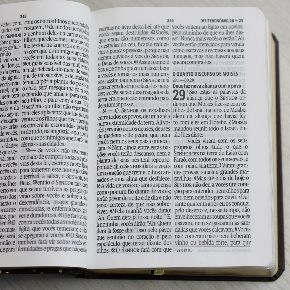 Bíblia Sagrada | NAA | Letra Gigante | Marrom