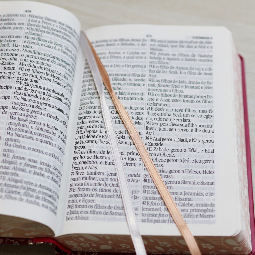 Bíblia Sagrada | ARC | Letra Gigante | Pink