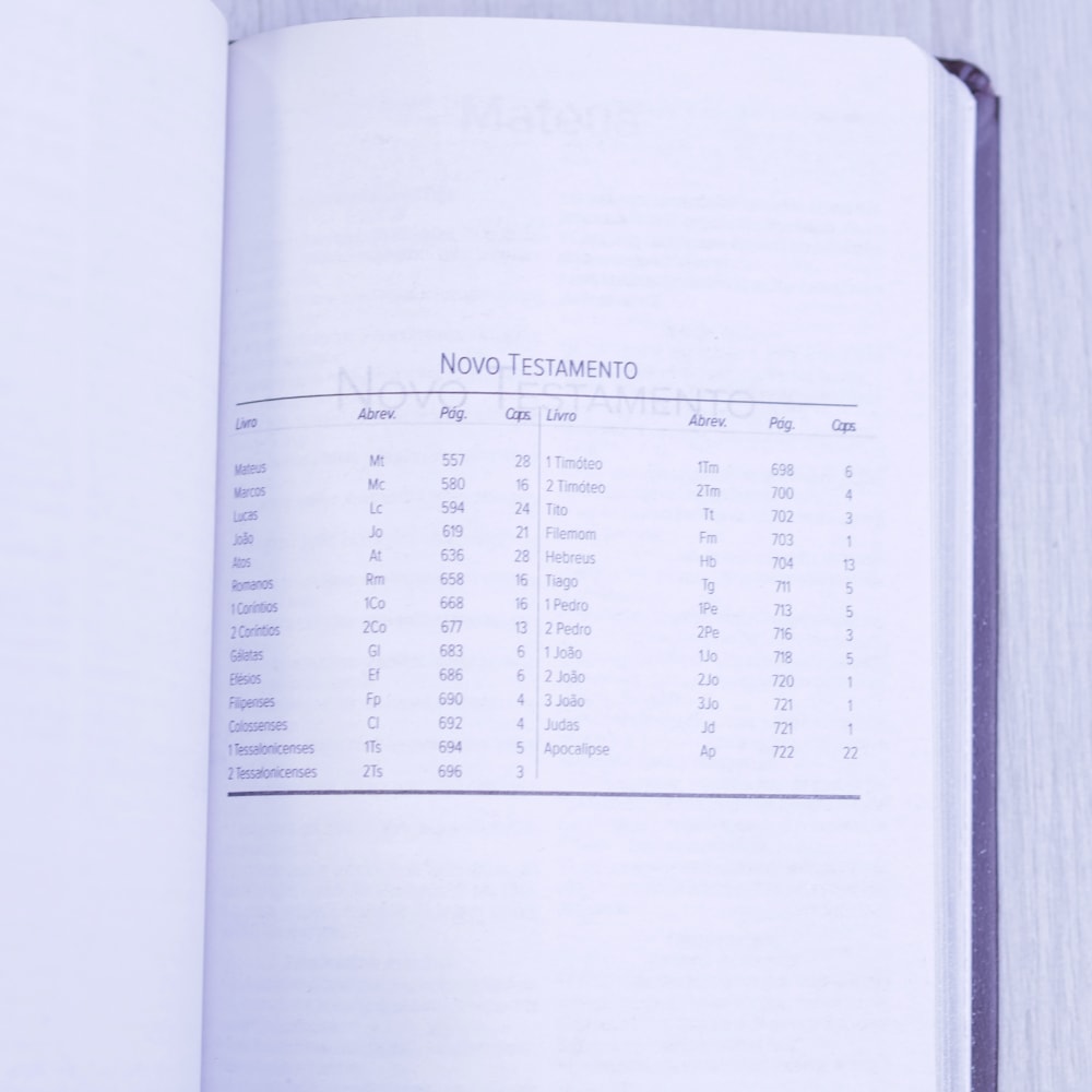 Bíblia Sagrada | ARC | Letra Normal | Capa Luxo Vinho Perolado