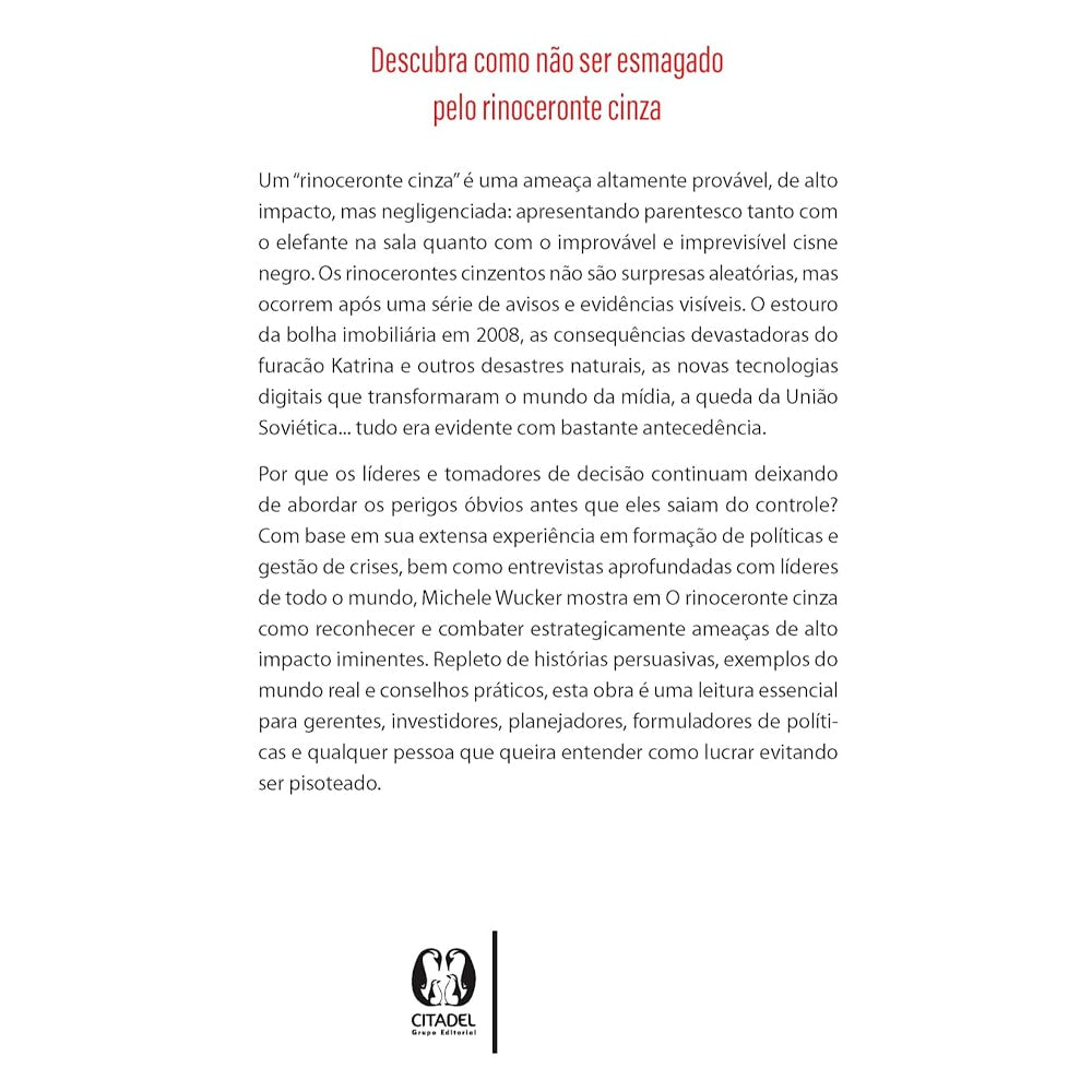 O Rinoceronte Cinza | Michele Wucker