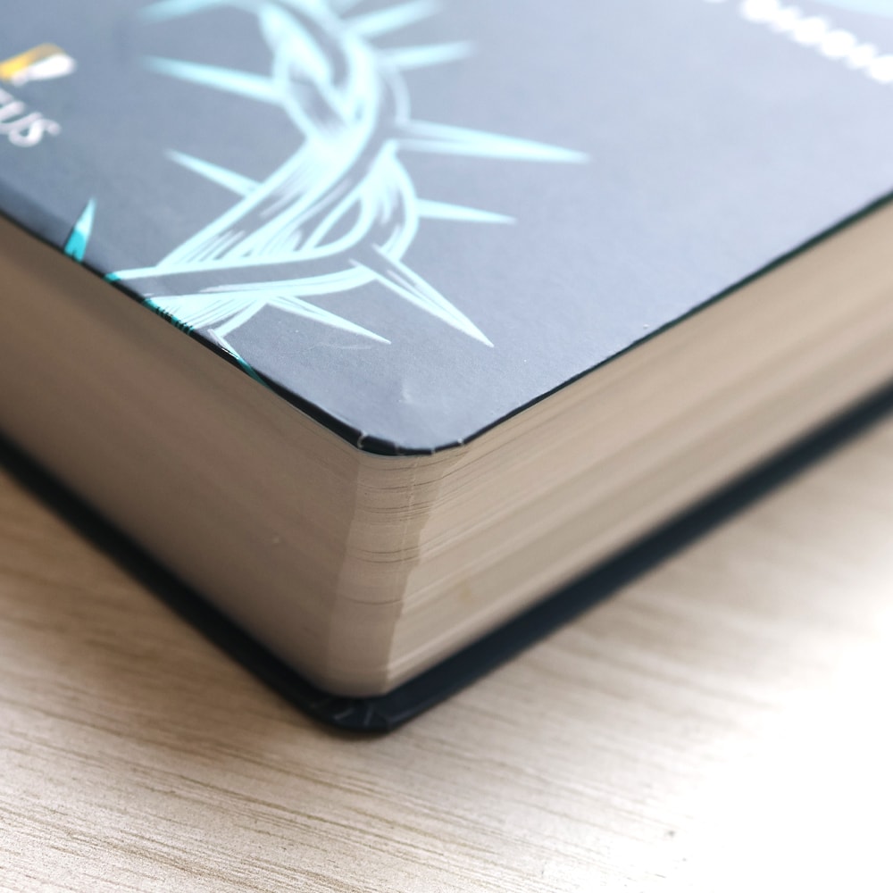 Biblia 365 | NVT | Edição Católica