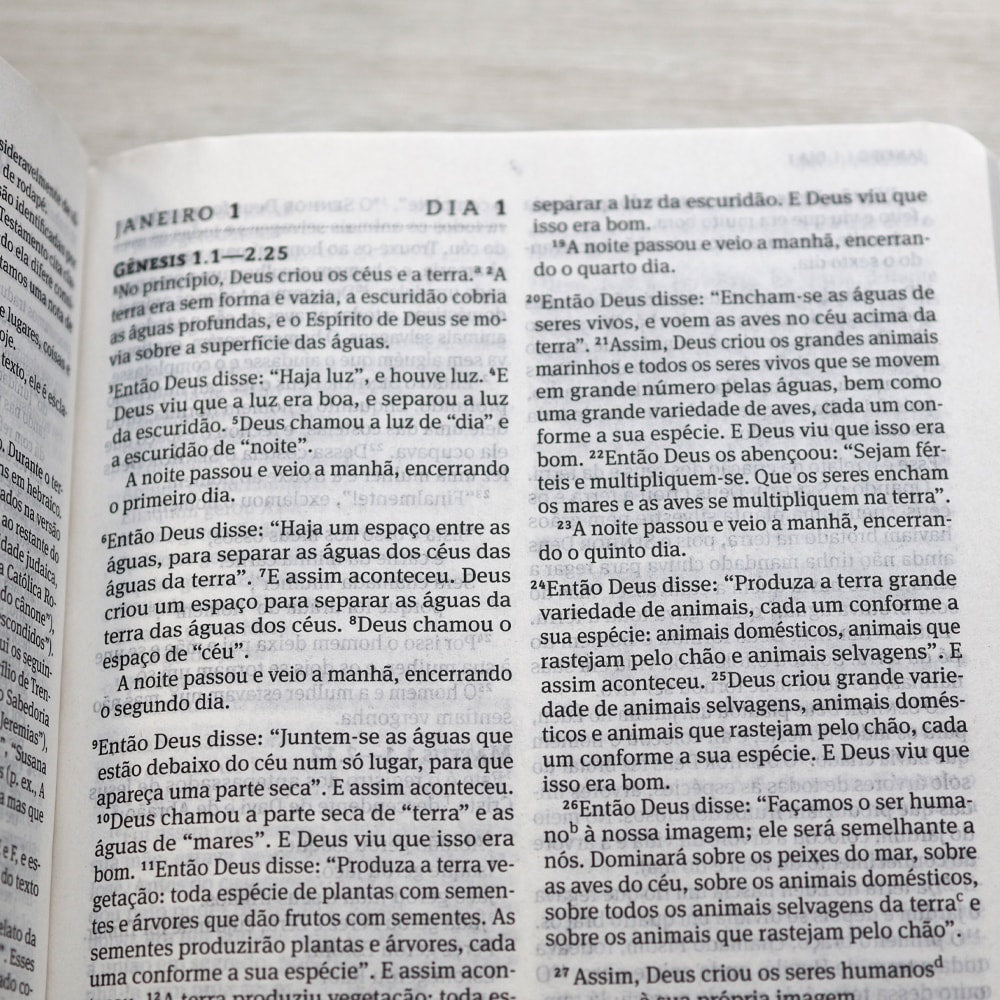 Biblia 365 | NVT | Edição Católica