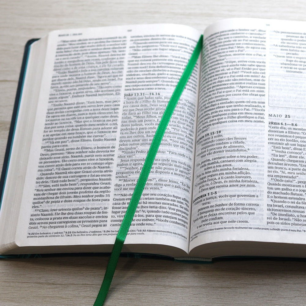 Biblia 365 | NVT | Edição Católica