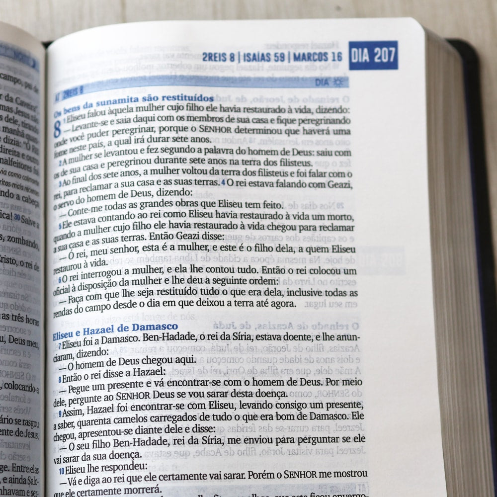 Bíblia 365 Dia e Noite | Letra Normal | NAA | Capa Cinza Luxo