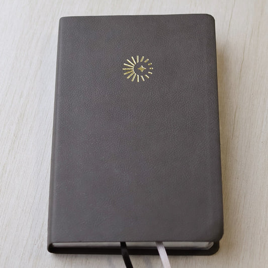 Bíblia 365 Dia e Noite | Letra Normal | NAA | Capa Cinza Luxo