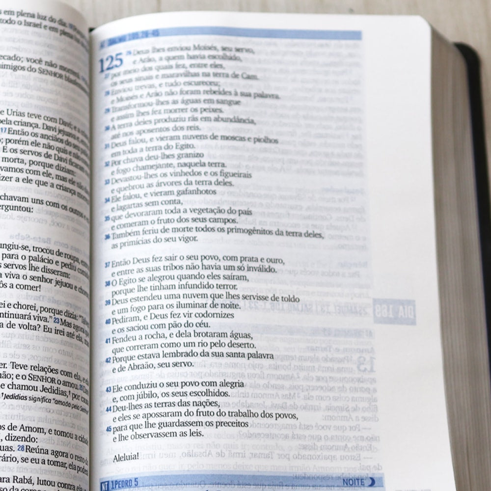 Bíblia 365 Dia e Noite | Letra Normal | NAA | Capa Cinza Luxo