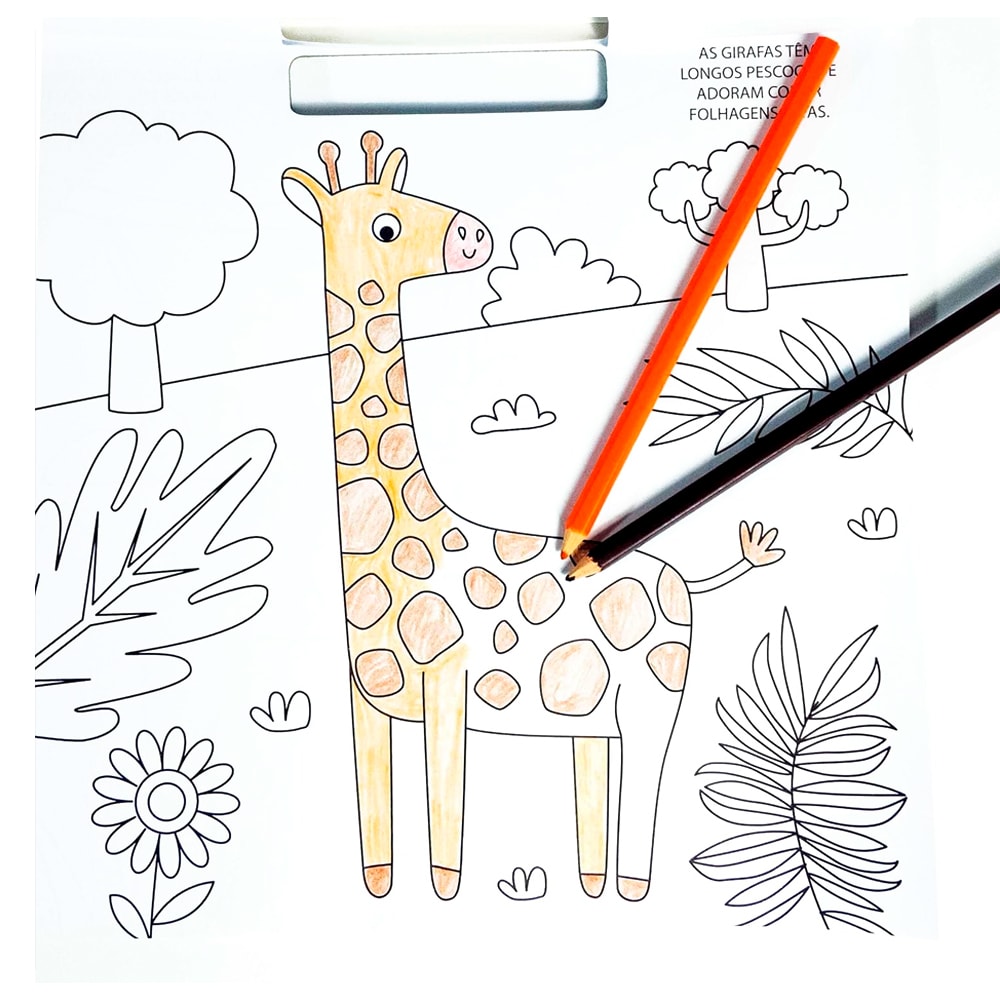 Animais Para Colorir| 100 Adesivos