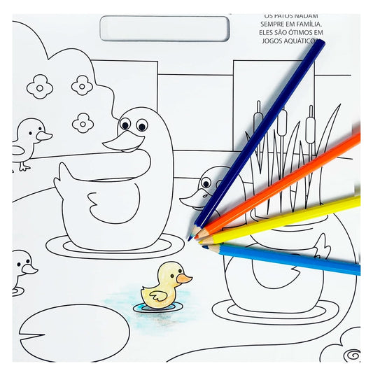 Fazenda Para Colorir | 100 Adesivos