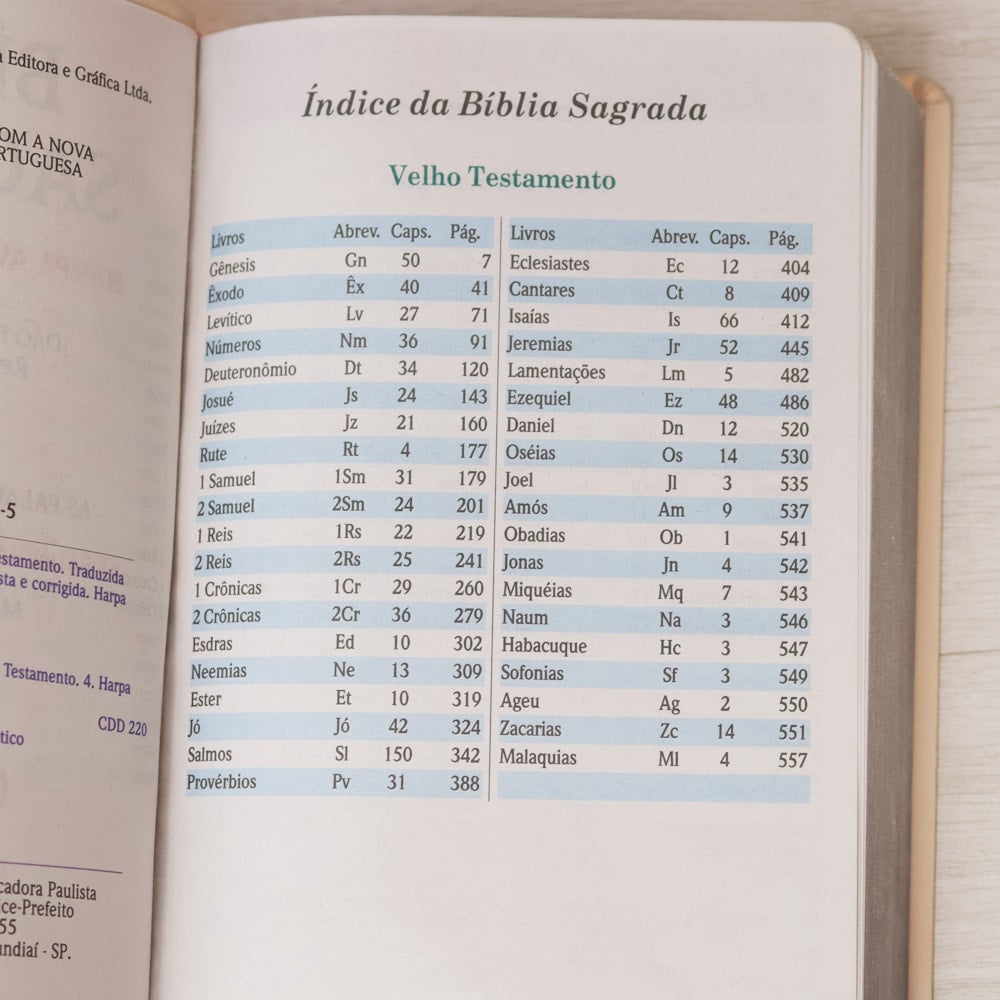 Bíblia Sagrada | Letra Gigante | ARC | Harpa Avivada e Corinhos | Capa PU Luxo Rosê e Rosa