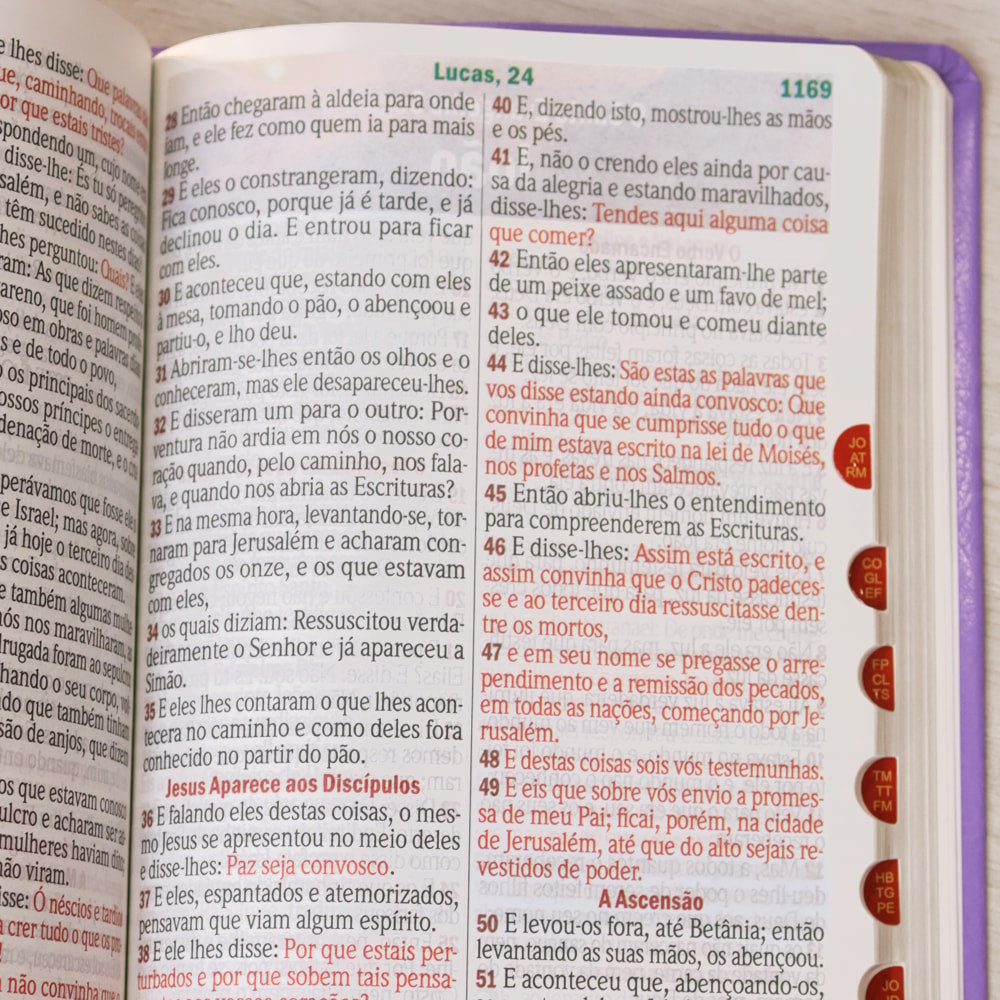 Bíblia Sagrada | Letra Hipergigante | ARC | Harpa Avivada e Corinhos | Capa PU Luxo Floral Dália Lilás