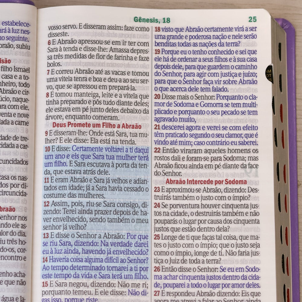 Bíblia Sagrada | Letra Hipergigante | ARC | Harpa Avivada e Corinhos | Capa PU Luxo Floral Dália Lilás