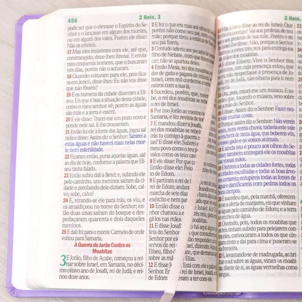 Bíblia Sagrada | Letra Hipergigante | ARC | Harpa Avivada e Corinhos | Capa PU Luxo Floral Margarida Lilás