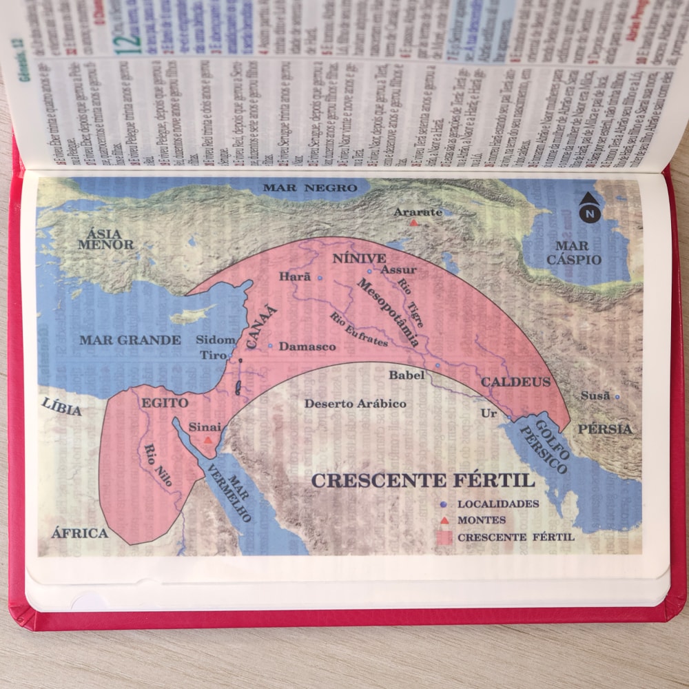 Bíblia Sagrada | Letra Hipergigante | ARC | Harpa Avivada e Corinhos | Capa PU Luxo Floral Margarida Pink