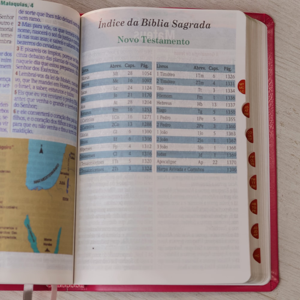 Bíblia Sagrada | Letra Hipergigante | ARC | Harpa Avivada e Corinhos | Capa PU Luxo Floral Margarida Pink