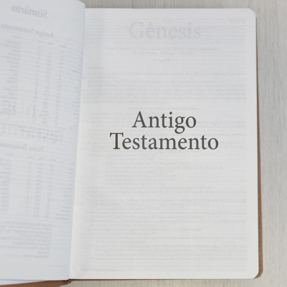 Bíblia de Estudo Dake | Letra Grande | Capa Luxo Caramelo