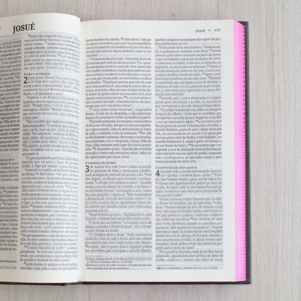 Bíblia Sagrada | NVI | Neon Rosa| Capa Dura