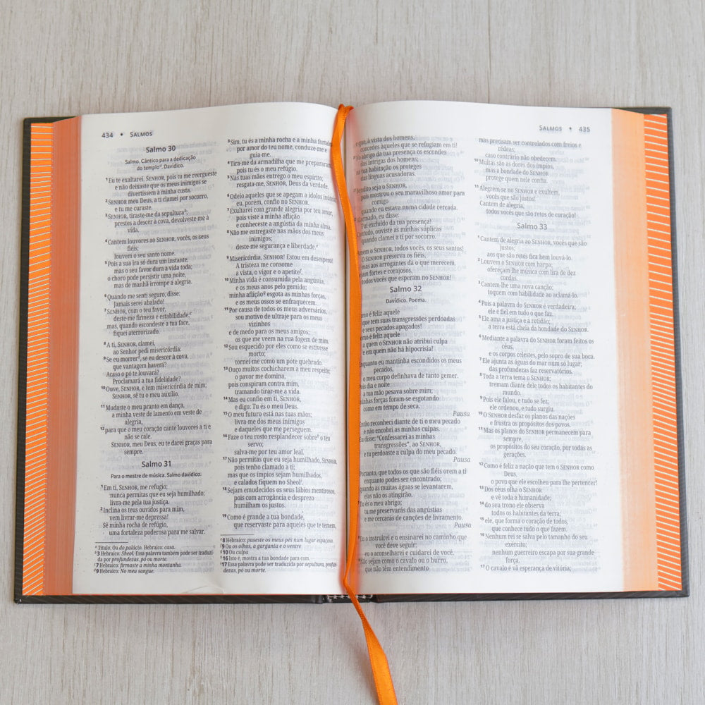 Bíblia Sagrada | NVI | Neon Laranja | Capa Dura