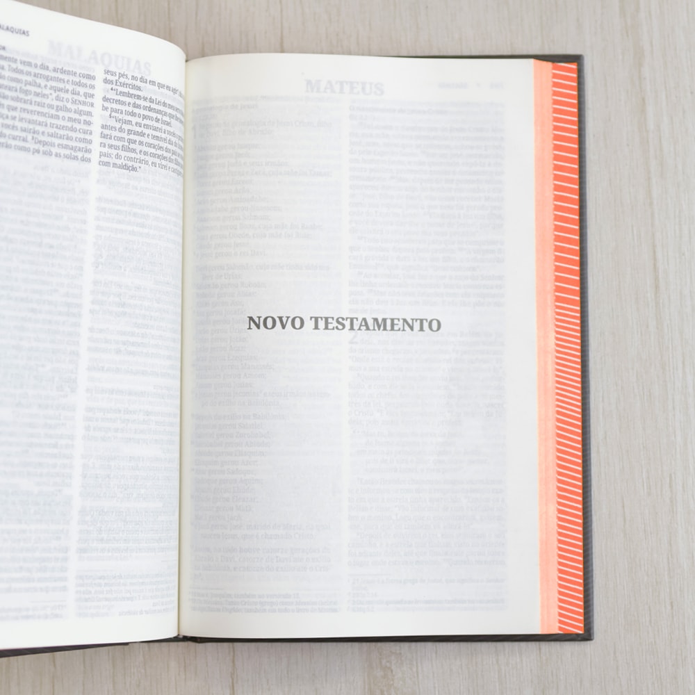 Bíblia Sagrada | NVI | Neon Laranja | Capa Dura