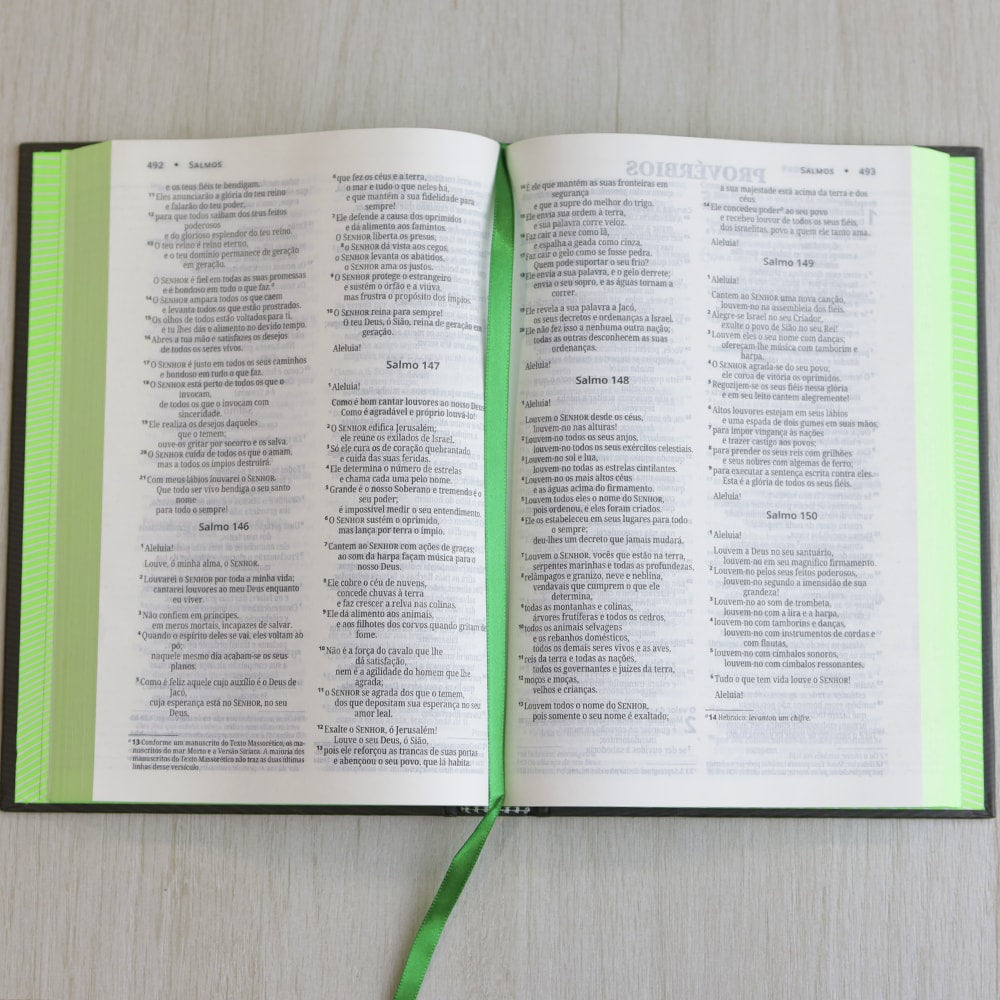 Bíblia Sagrada | NVI | Neon Verde | Capa Dura
