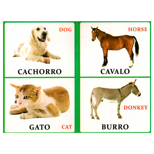 Minha Primeira Enciclopédia Bilíngue | Animais Selvagens e  Domésticos