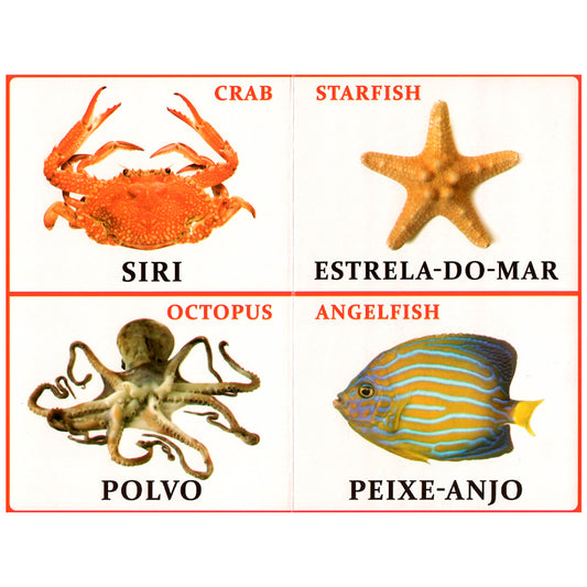 Minha Primeira Enciclopédia  Bilíngue | Aves e Animais Aquáticos