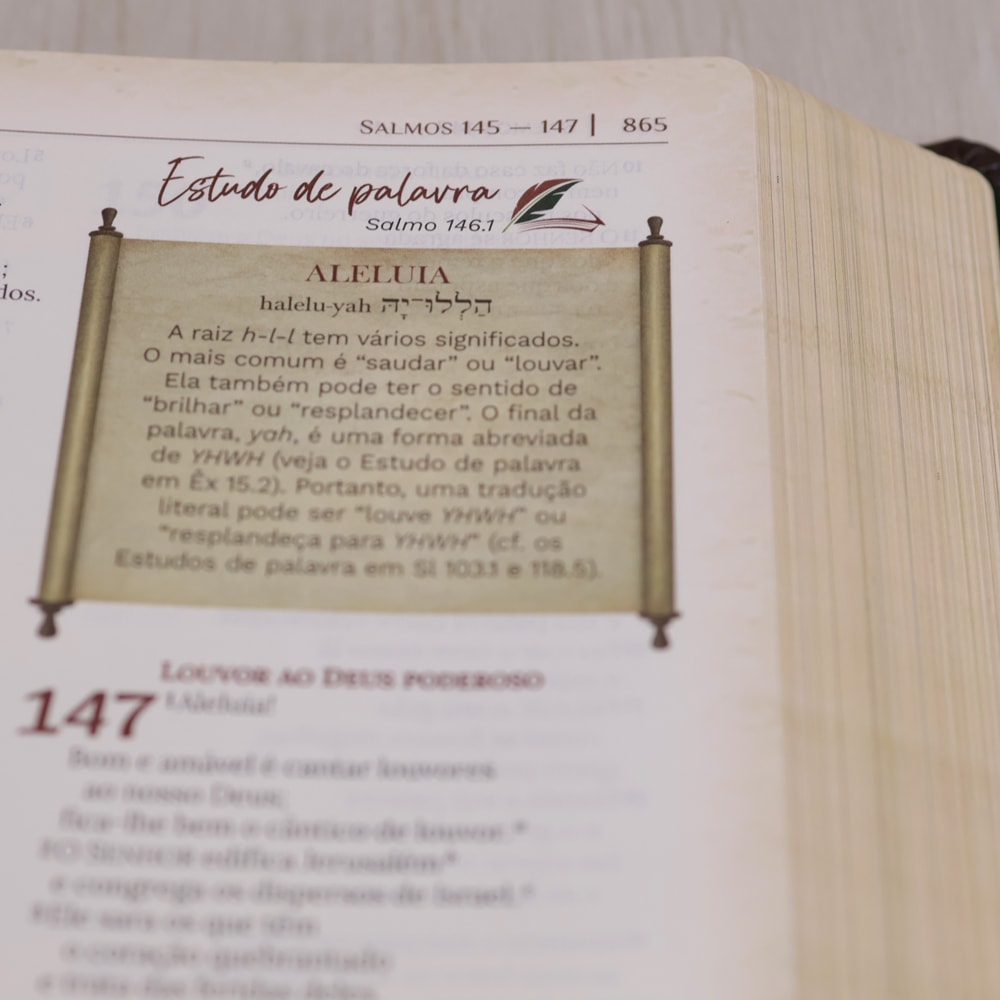 Bíblia de Estudo Igreja Primitiva | NAA | Capa Luxo Marrom
