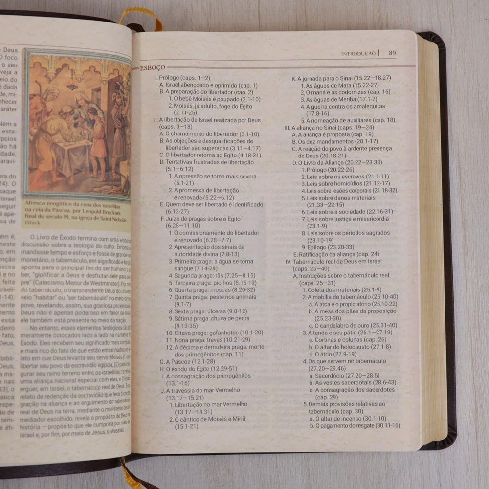 Bíblia de Estudo Igreja Primitiva | NAA | Capa Luxo Marrom