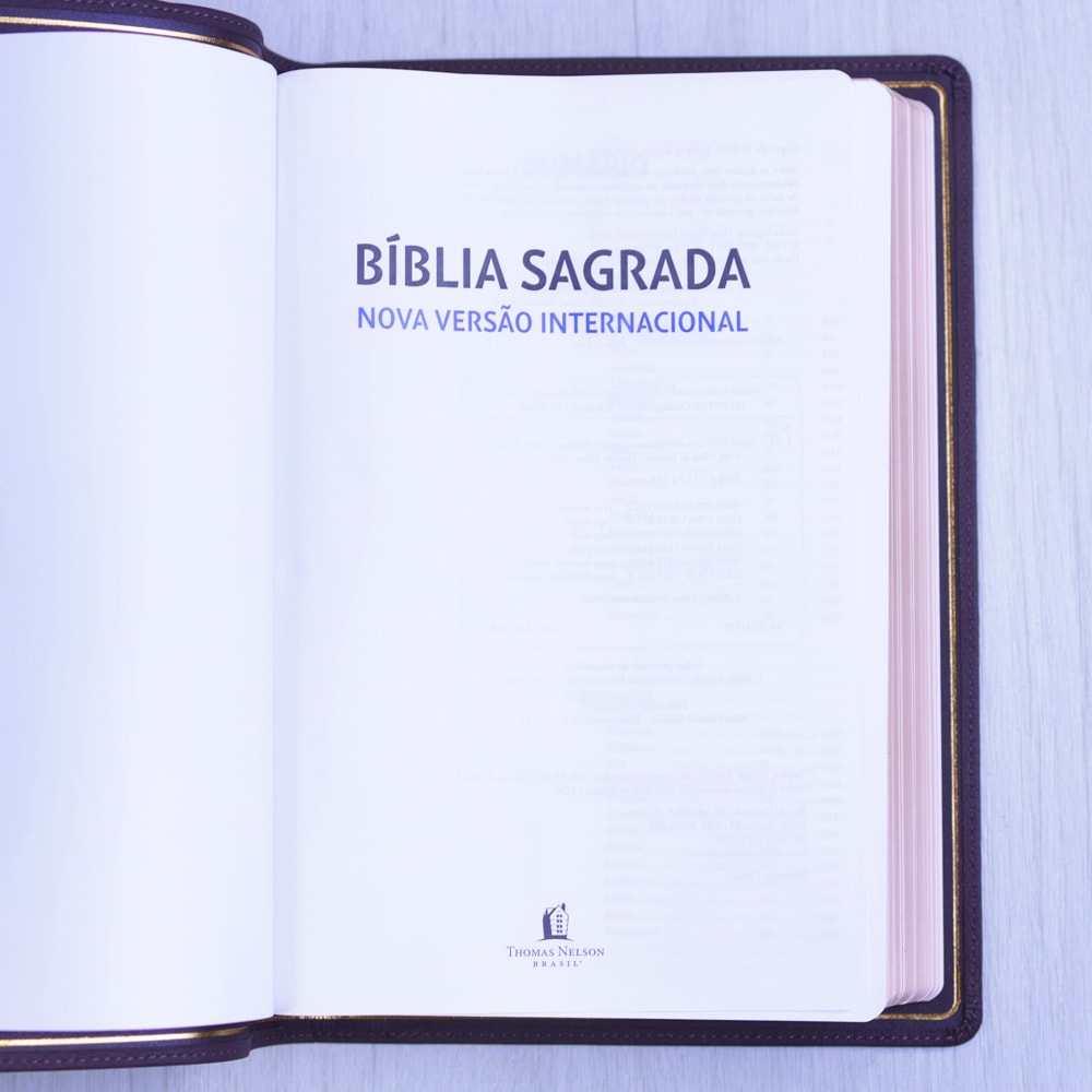 Bíblia Sagrada | NVI | Premier Collection | Capa Couro Luxo Vinho